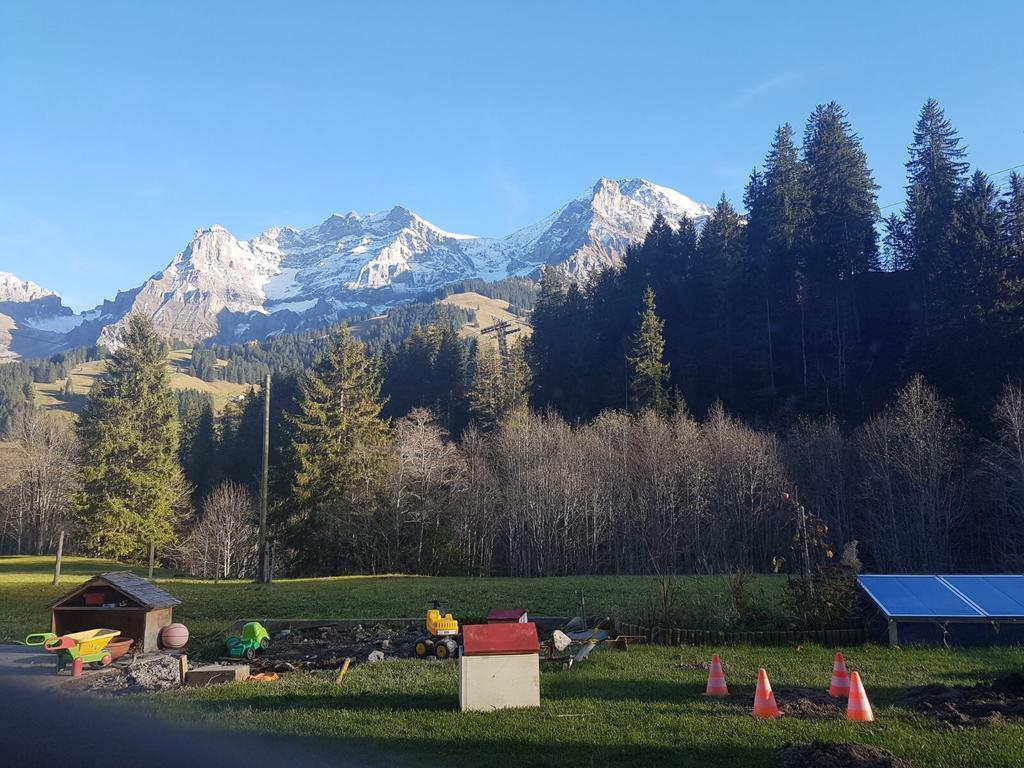 Chalet Wildbach Adelboden Kültér fotó